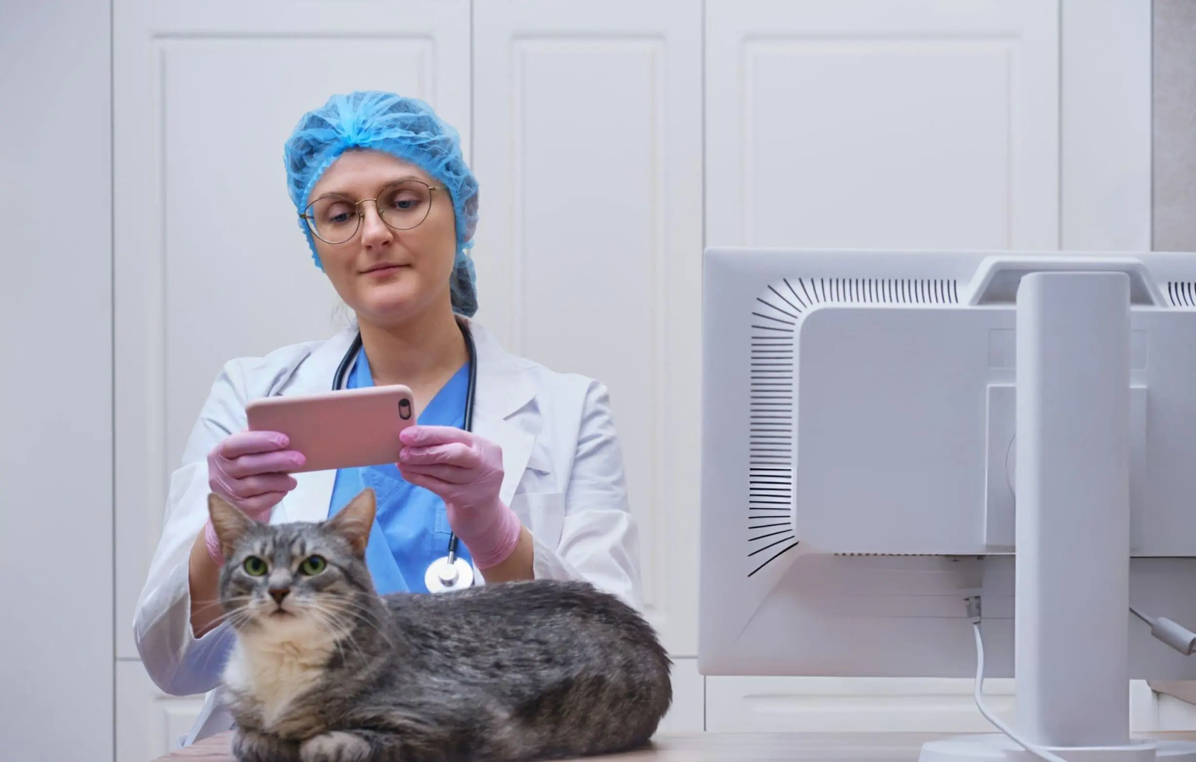 Video Marketing for Pet Clinics